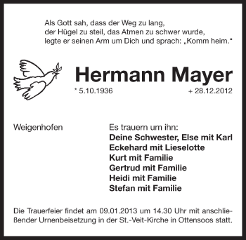 Traueranzeige von Hermann Mayer von Pegnitz-Zeitung
